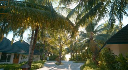 Scenic view of luxurious resort villas amidst palm trees and sunlight in Maldives.