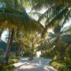 Scenic view of luxurious resort villas amidst palm trees and sunlight in Maldives.