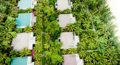 Aerial shot of tropical villas surrounded by vibrant palm trees and lush greenery.