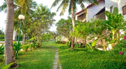Scenic walkway lined with palm trees and lush greenery in a tropical resort garden.